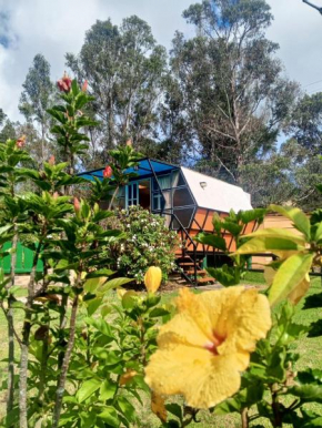 Glamping Mafer 1 Hexagonal